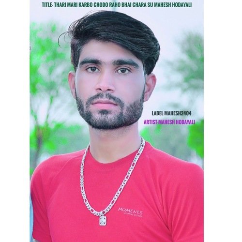 thari Mari karbo chodo raho bhai chara su Mahesh Hodayali