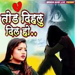 Tod Dihalu Dil Ho