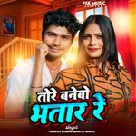 Tore Banebo Bhatar Re