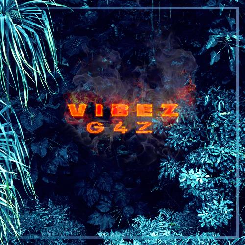 Vibez cover art