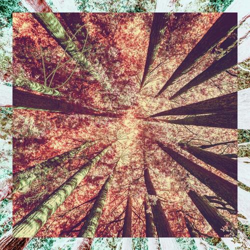 Lost & Found cover art