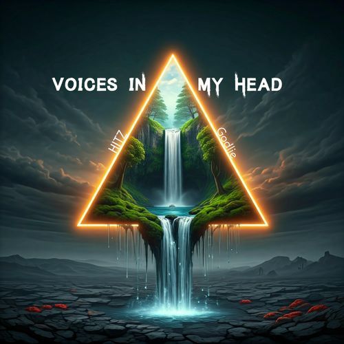 Voices In My Head_poster_image