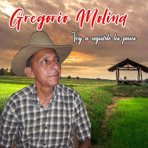 Recordando a Eneas Perdomo cover art