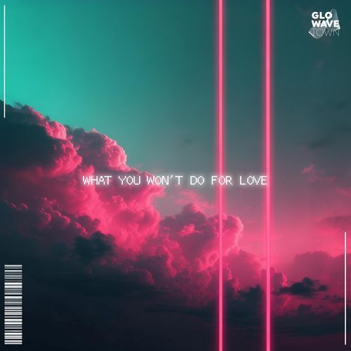 What You Won't Do For Love