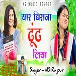 Yar Birana Dhoondh Liya