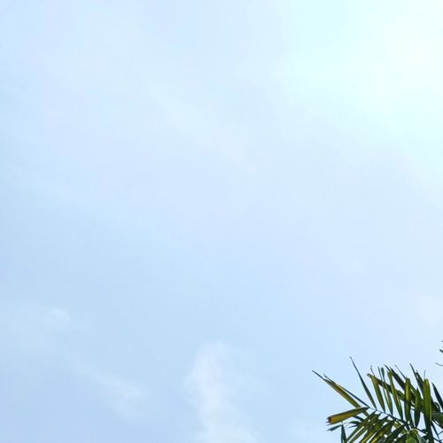 hatiku merelakan