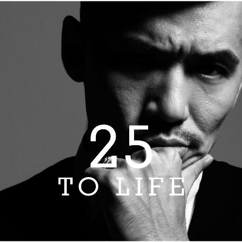 25 To Life_poster_image