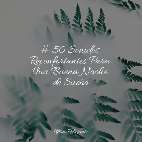 # 50 Sonidos Reconfortantes Para Una Buena Noche de Sueño