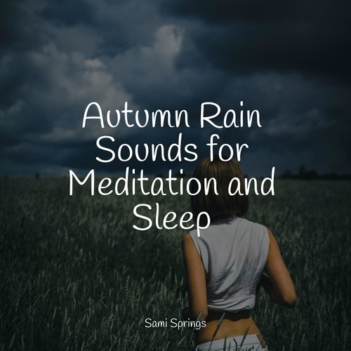 Autumn Rain Sounds for Meditation and Sleep_poster_image