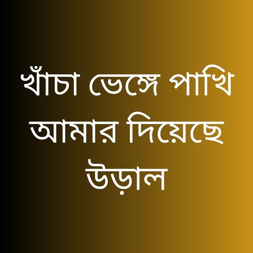 খাঁচা ভেঙ্গে পাখি আমার দিয়েছে উড়াল