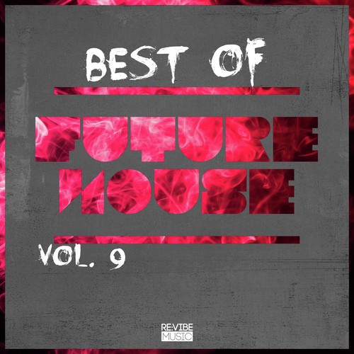 Best of Future House, Vol. 9