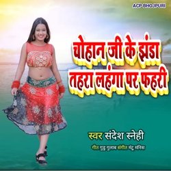 Chauhan Ji Ke Jhanda Tahara Lahanga Par Phahri