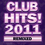 Someone Like You (Remix)