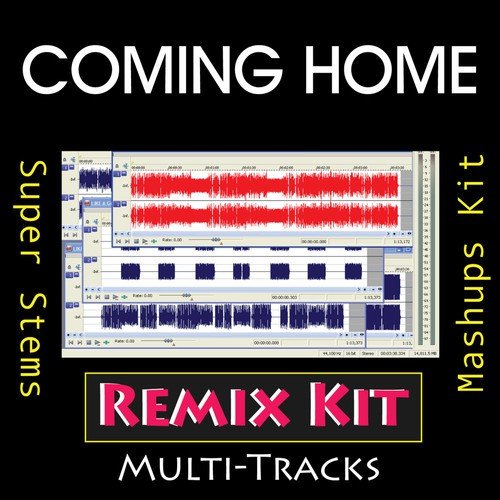 Coming Home (Multi Tracks Tribute to Diddy - Dirty Money & Skylar Grey )