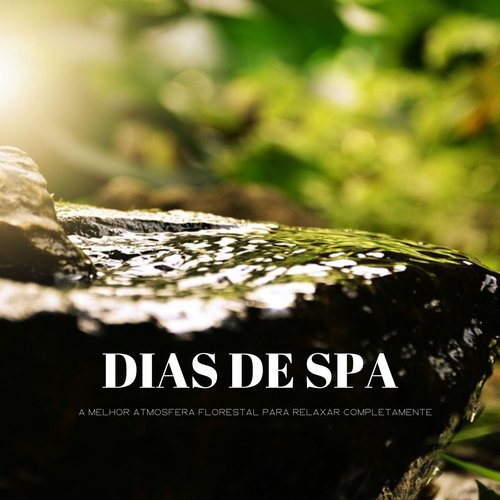 Música Relaxante De Spa cover art