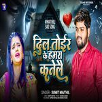 Dil Toir Ke Hamara Kanelai