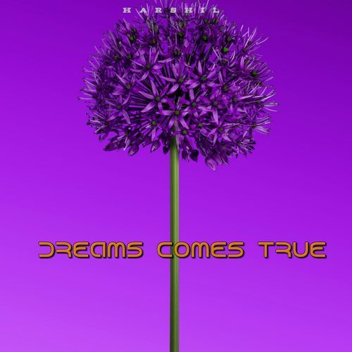 Dreams Comes True