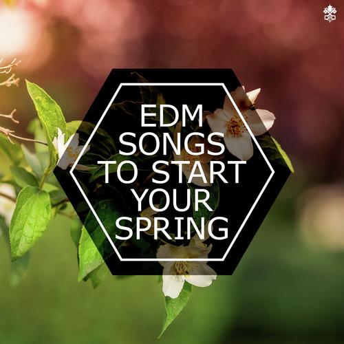 EDM Songs To Start Your Spring