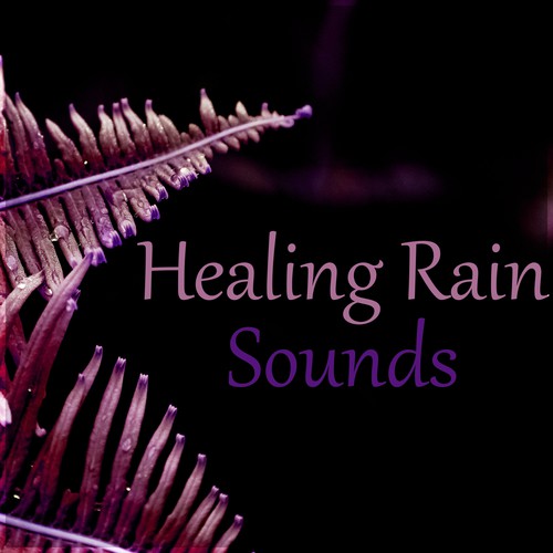 Healing Rain Sounds – Water Sounds & Ocean Waves, Serenity Music to Reduce Anxiety, Summer Rain, Sounds of Nature to Reduce Sadness