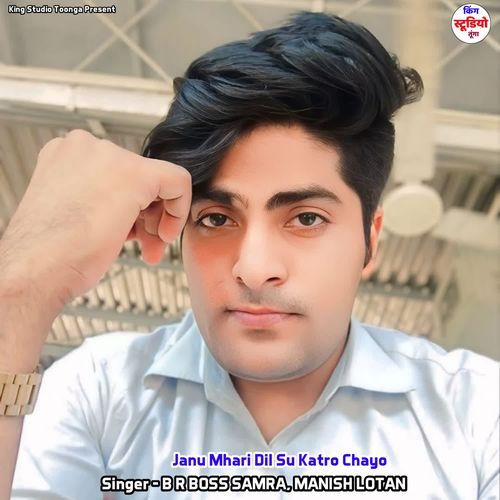 Janu Mhari Dil Su Katro Chayo