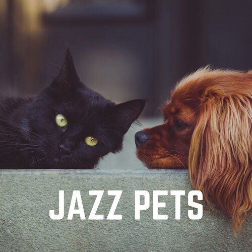 Jazz for Cats cover art