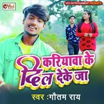 KARIYABA KE DIL DEKE JA