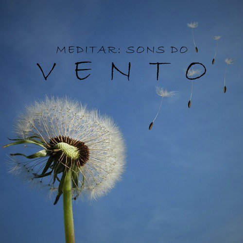 Meditar: Sons do Vento, Pt. 36 cover art