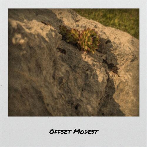 Offset Modest