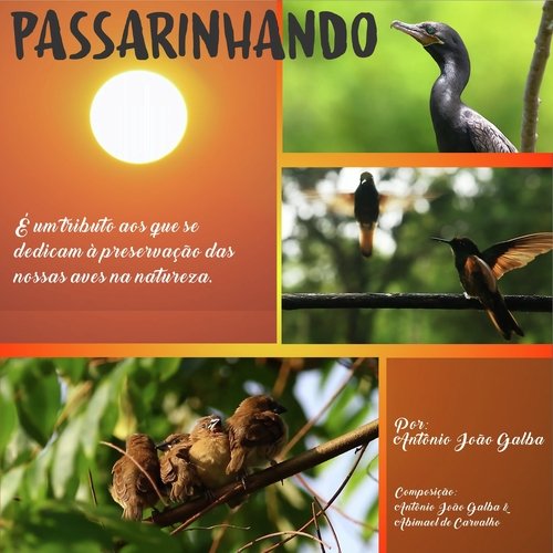 Passarinhando