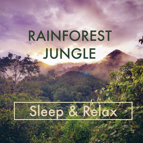 Forest Stream - Sleep & Relax