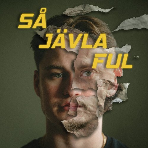 Så jävla ful_poster_image