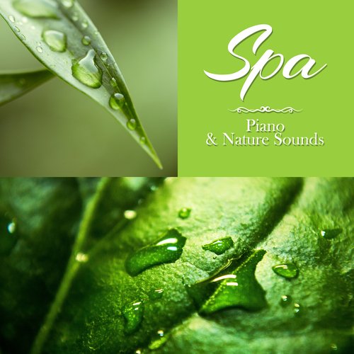 SPA – Piano & Nature Sounds: Soft Piano Jazz Atmosphere for Relaxing Massage