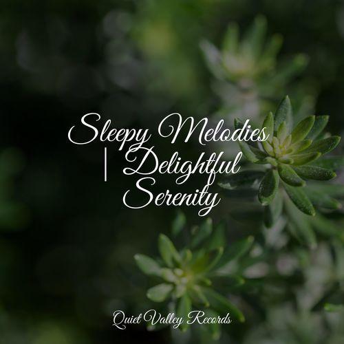 Sleepy Melodies | Delightful Serenity