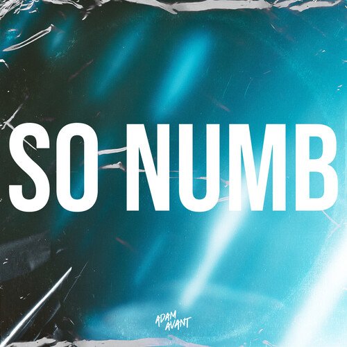 So Numb_poster_image