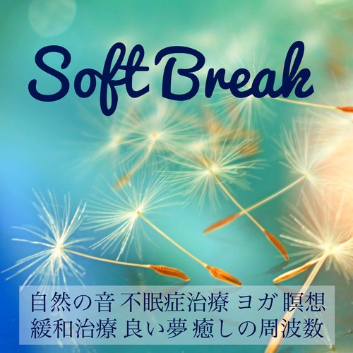 Soft Break - 自然の音 不眠症治療 ヨガ 瞑想 緩和治療 良い夢 癒しの周波数_poster_image