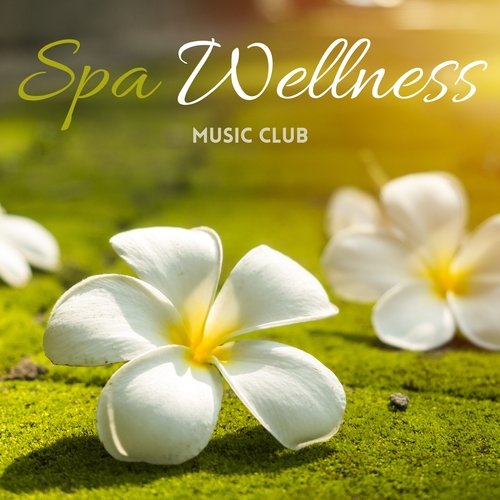 Spa Wellness Music Club_poster_image