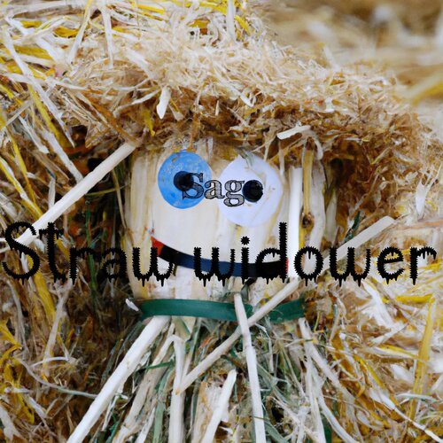 Straw Widower