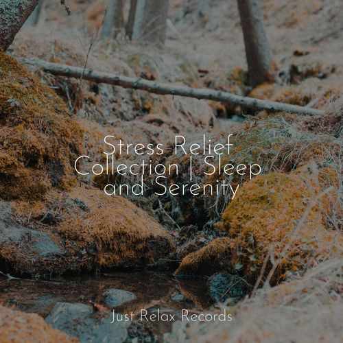 Stress Relief Collection | Sleep and Serenity