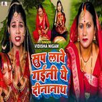 Sup Lawe Gaini Ye Dinanath