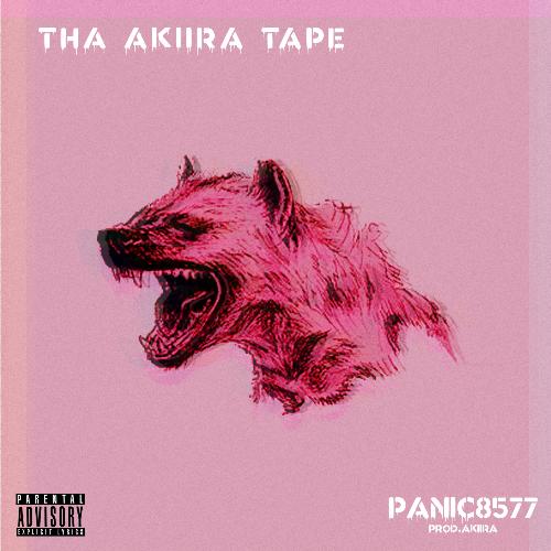 Dmx cover art
