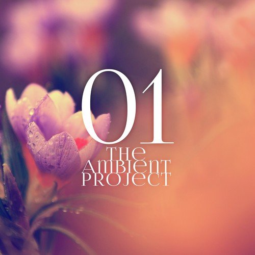 The Ambient Project, Vol. 1