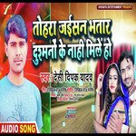 Tohara Jaisan Bhatar Dushmano Ke Nahi Mile Ho