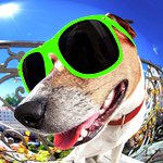 Who's Phone is Ringing (Whose Mine, It's Mine Who Let the dogs Out Impractical Jokers Ringtone 2019)