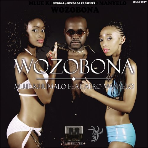 Wozobona - 1 cover art