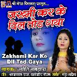 Zakhami Kar Ke Dil Tod Gaya
