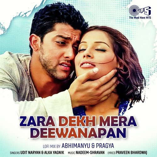 Zara Dekh Mera Deewanapan (Lofi Mix)