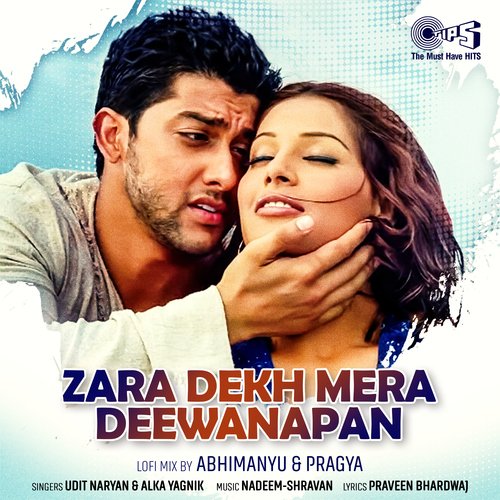 Zara Dekh Mera Deewanapan (Lofi Mix)_poster_image