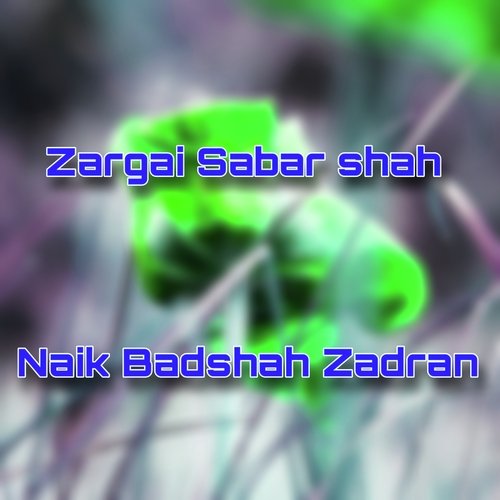 Zargai Sabar Shah