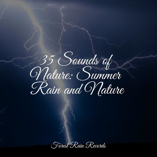 Rain, Storm and Thunder cover art
