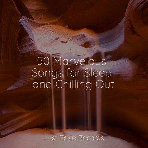 50 Marvelous Songs for Sleep and Chilling Out_poster_image